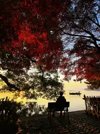 杭州紅楓反向線|3h拍爆西湖秋景~