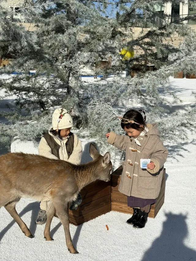 小來黃島嘉年華海信廣場啦~ 小來黃島嘉年華海信廣場啦~