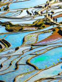 哀牢山元陽梯田徒步指南