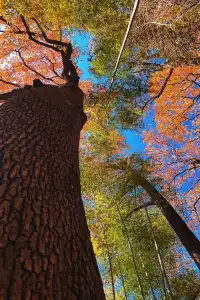 台州賞秋封神4條徒步路線建議收藏~
