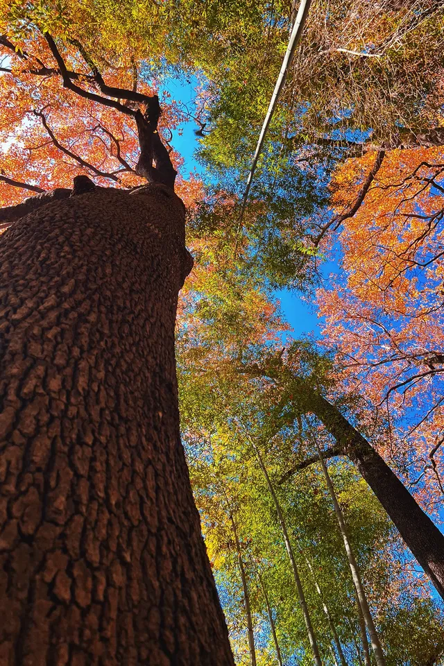 台州賞秋封神4條徒步路線建議收藏~ 台州賞秋封神4條徒步路線建議收藏~