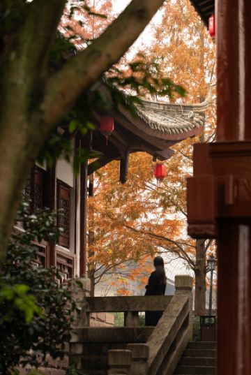 ฉันชอบเมืองในอุดมคติอย่างต้าจู เมืองฉงชิ่ง มากกว่าชิบาติ