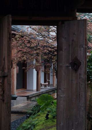 Immerse yourself in the scenery and capture every frame of "Guanlan Shuyuan".