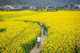 Guizhou's early spring hiking is legendary! The earliest spring is hidden in the Karst secret realm