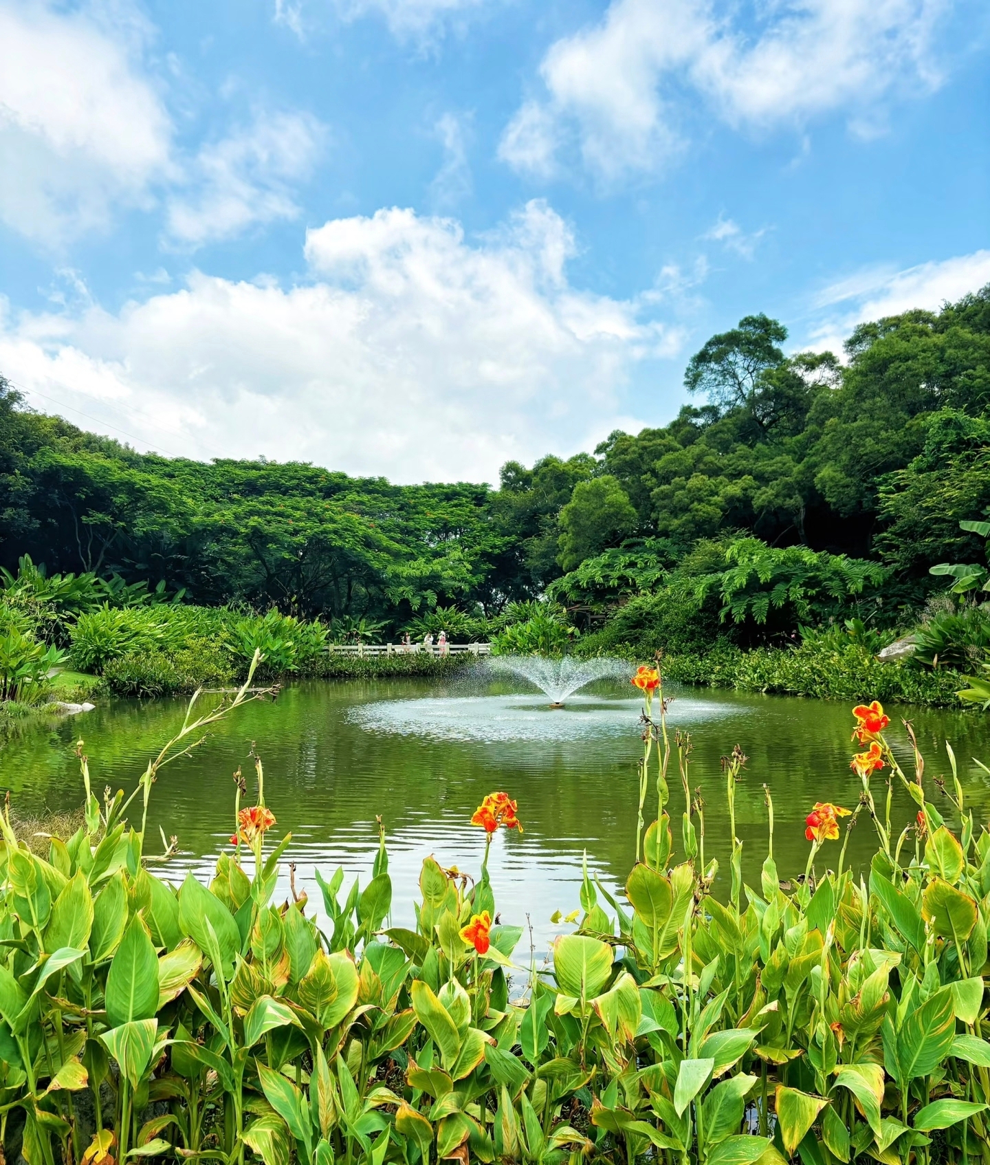 Xiamen Botanical Garden Maple Viewing Guide 🍁 Stay at the right hotel to unlock autumn romance!

Inn Plus Tourism Academy Village Tour Botanical Garden

🍂 【Stay Close, Enjoy a Hassle-Free Maple Viewing Trip】
Choose Jinjiang Inn Plus Xiamen North Station Jimei Academy Village Hotel, it’s super convenient to visit Xiamen Botanical Garden to see the red leaves 🚗! From the hotel, take Metro Line 1 and transfer to a bus, you can reach the garden in just 40 minutes. A taxi ride takes only half an hour. No need to wake up early to catch transport; take your time getting ready and set off leisurely for a relaxed and comfortable trip 😌! The hotel’s king-size bed room is super cozy. After visiting the botanical garden, take a hot shower and all your fatigue will disappear~

📸 【Botanical Garden Check-in Guide, 100% Photo-Worthy】
1️⃣ Maple Forest Area: The maple forest in the garden is as red as fire 🍁. Sunlight filters through the leaves, perfect for backlit atmospheric photos! We recommend wearing light-colored clothes to create a striking contrast with the red leaves, making your photos more eye-catching~
2️⃣ Tropical Rainforest Area: The misty rainforest boardwalk with layers of greenery feels like stepping into the Land of Oz 🌿. Every snap looks like a forest-themed masterpiece. Avoid peak crowds and arrive before 9 AM for the best shots~
3️⃣ Succulent Plant Area: Giant cacti and cactus columns have a strong exotic vibe 🌵. Stand next to them for full-body shots that instantly unlock a magazine cover look. Pair with a straw hat for a vacation feel~
4️⃣ Waterscape Area: The shimmering lake paired with green plants and flowers. Sit on a lakeside bench and take atmospheric back shots, full of gentle vibes 💐!

✨ 【Hotel + Botanical Garden Itinerary】
1️⃣ Morning: Depart from the hotel, head straight to the maple forest in the botanical garden for beautiful photos, then visit the tropical rainforest and succulent areas
2️⃣ Noon: Eat Minnan specialty satay noodles and oyster omelet near the garden, only about 20 RMB per person to eat your fill
3️⃣ Afternoon: Return to Jimei Academy Village, explore Shigu Road’s cultural and creative shops, photograph Jiageng architecture, and buy Minnan snacks along the way
4️⃣ Evening: Rest at the hotel; there’s a convenience store and snack stalls downstairs, so no worries about late-night snacks~

💡 【Helpful Tips】
✅ You can buy botanical garden tickets online in advance and enter directly by scanning your ID, saving queue time
✅ The hotel front desk provides garden maps and check-in routes, and can recommend less crowded photo spots
✅ There are many mosquitoes in the garden, so bring insect repellent and wear comfortable sneakers for hiking

Come to Xiamen in winter and stay at Jinjiang Inn Plus Xiamen North Station Jimei Academy Village Hotel. You can check in the romantic red leaves at the botanical garden and easily explore Jimei Academy Village 🏡. Such a beautiful trip! Everyone, save this guide and come to Xiamen to encounter the exclusive autumn romance~