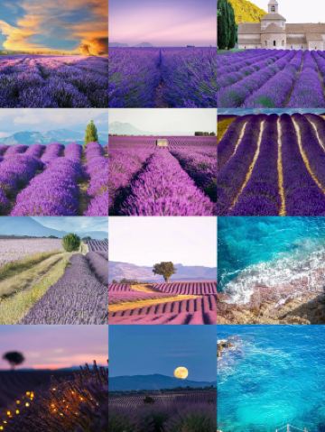 남프랑스의 바람이 프로방스로 불어왔어요!