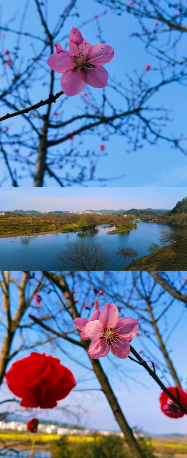 月亮湾 参考图 5