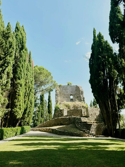 イタリア・トスカーナの800年の歴史を持つ古い荘園、中世の美学の天井