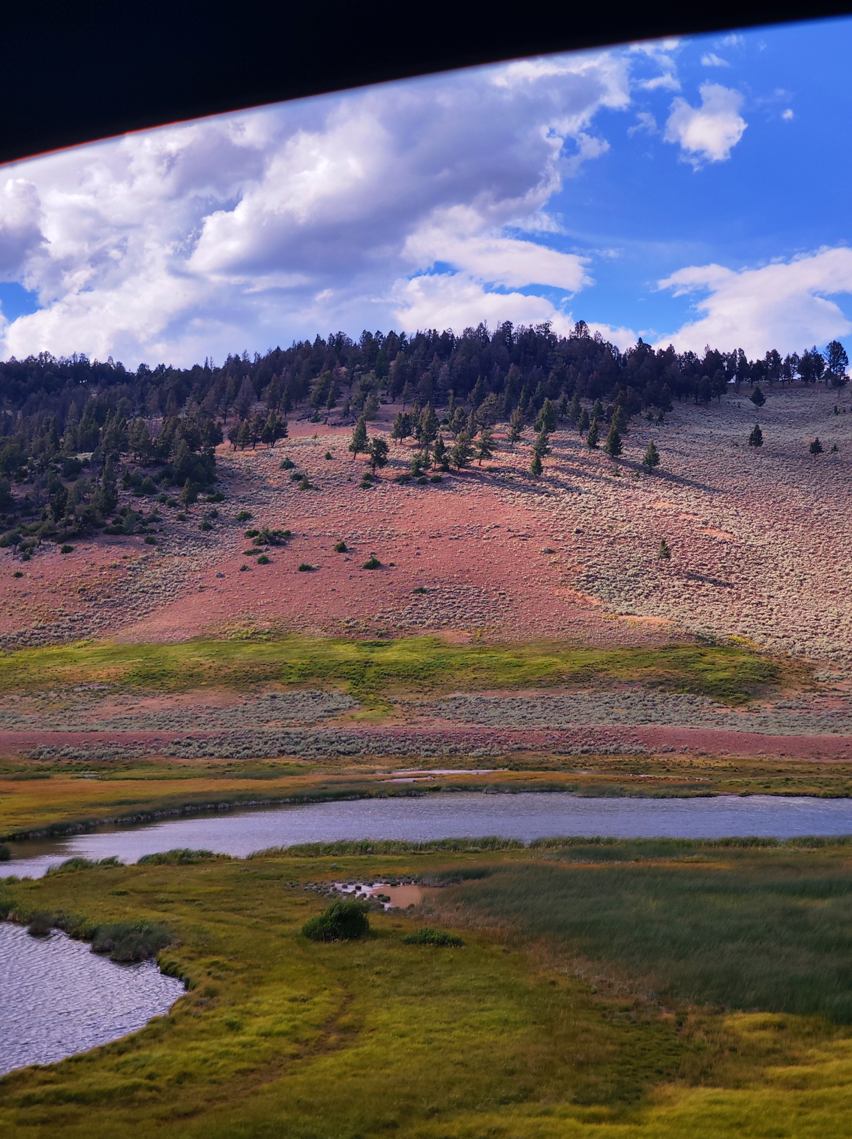 【美國 攻略 2026】Coconino County, Navajo County Trip.com 精選 — 港人實用指南 Coconino County, Navajo County, Park County - Yellowstone National Park 8-Da - 圖 3