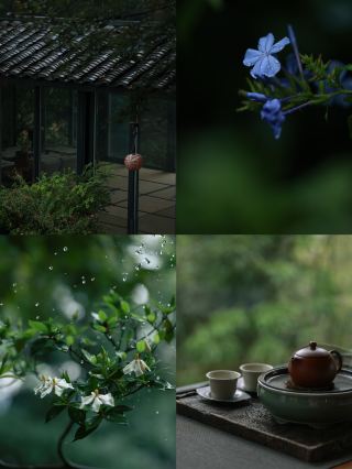 Rainy Day Mountain Escape｜A Wilderness Staycation in the Greater Bay Area