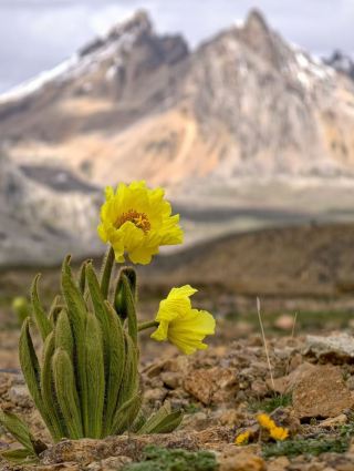 Speechless with awe! A complete guide to a Sapu Mountain self-driving trip, a must-visit secret realm in Tibet