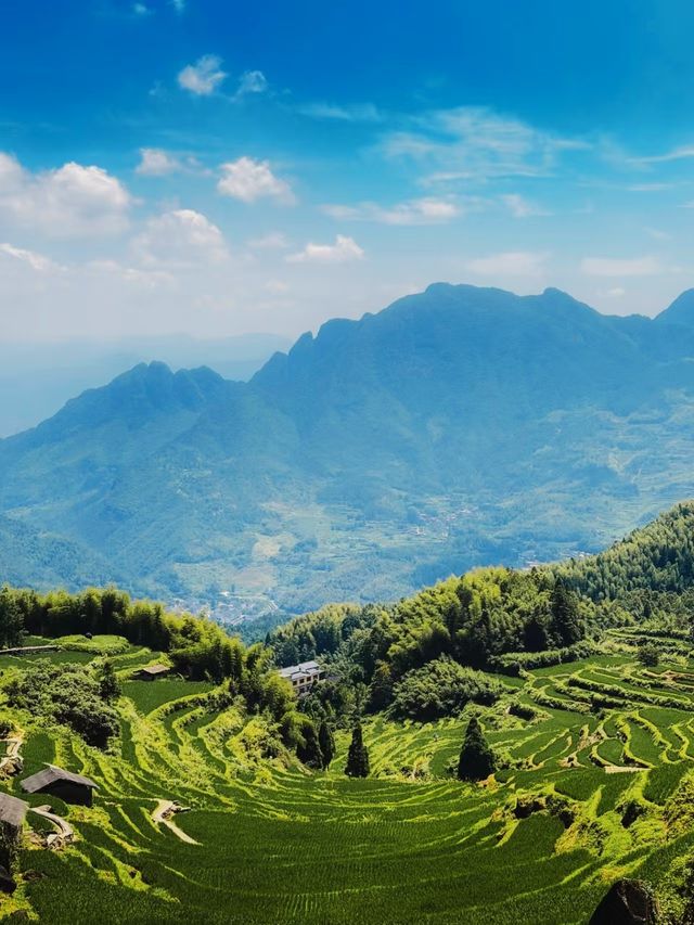 :被CNN點名的中國最美梯田,避坑攻略看這篇!|Trip.com 雲和