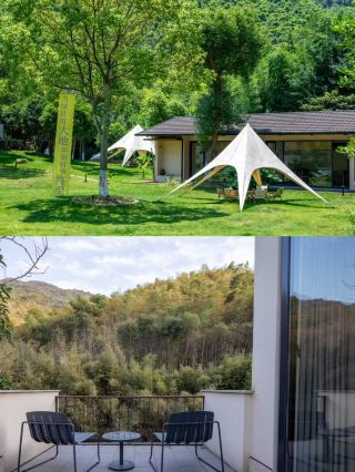 Escape into the bamboo sea of Shaoxing|This guesthouse truly healed me