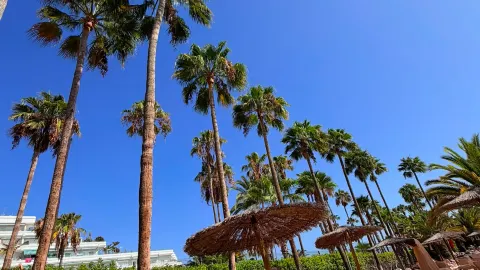 Exceptional Service and Relaxing Atmosphere at Hotel Areca — traveler post in Elche