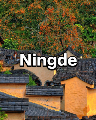 Ningde Pingnan orange trees create a limited-time autumn guide to a fairyland on earth!