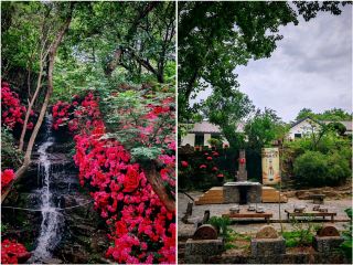 Linyi Yayougou: A hidden autumn gem