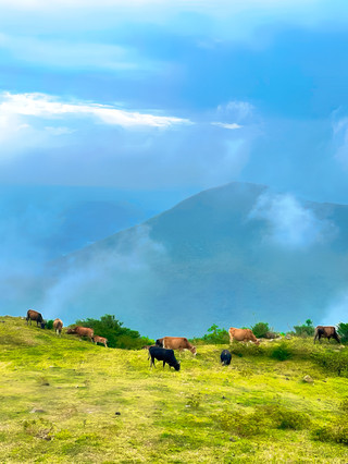 Enping Niutang Mountain | Complete hiking guide to Guangdong's Little Wugong Mountain