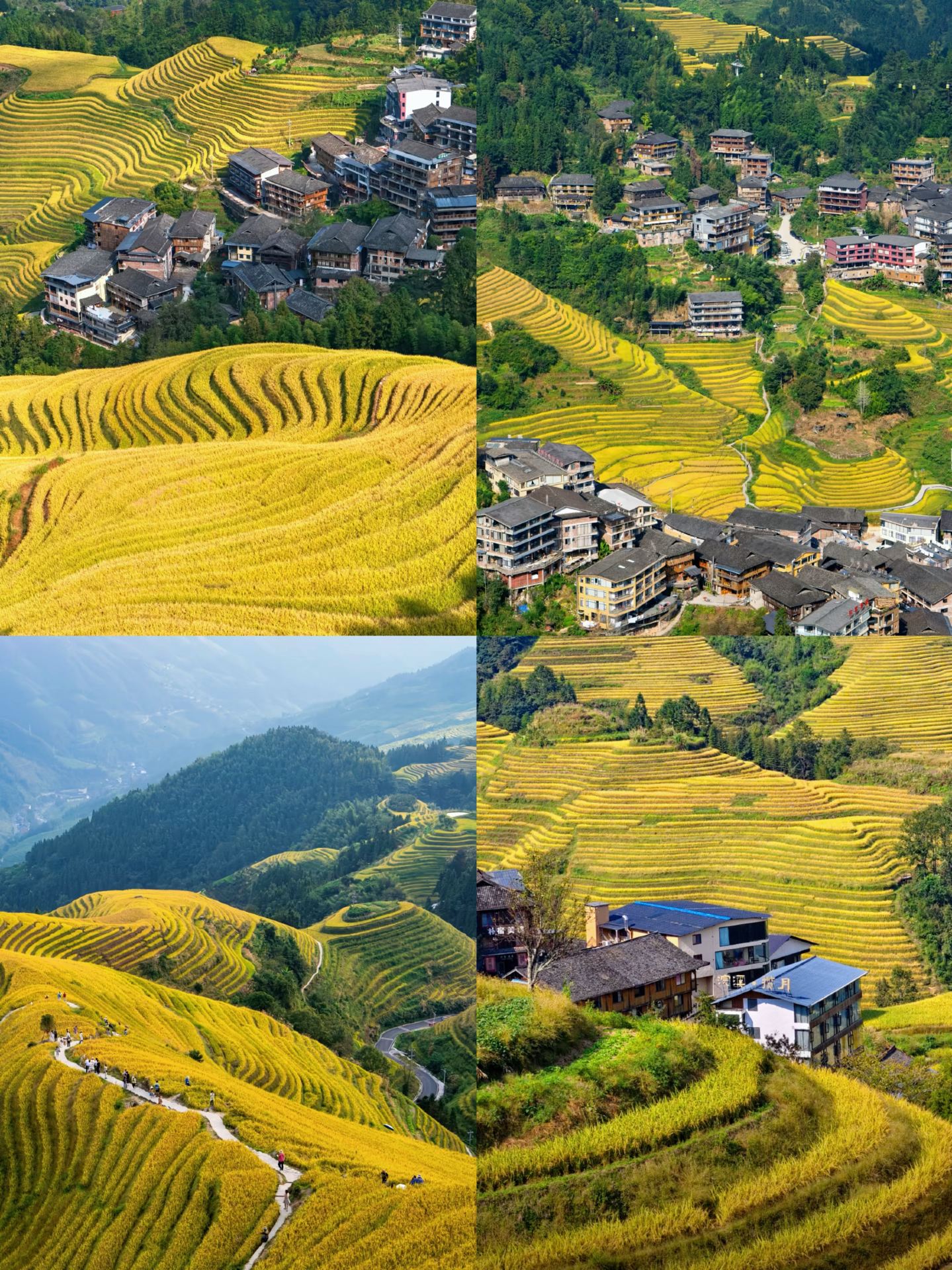 Tôi đã trở về từ Quảng Châu | Tôi thực sự không khuyên bạn nên đi vào tháng 9 hoặc tháng 10, vì lúc đó quá...