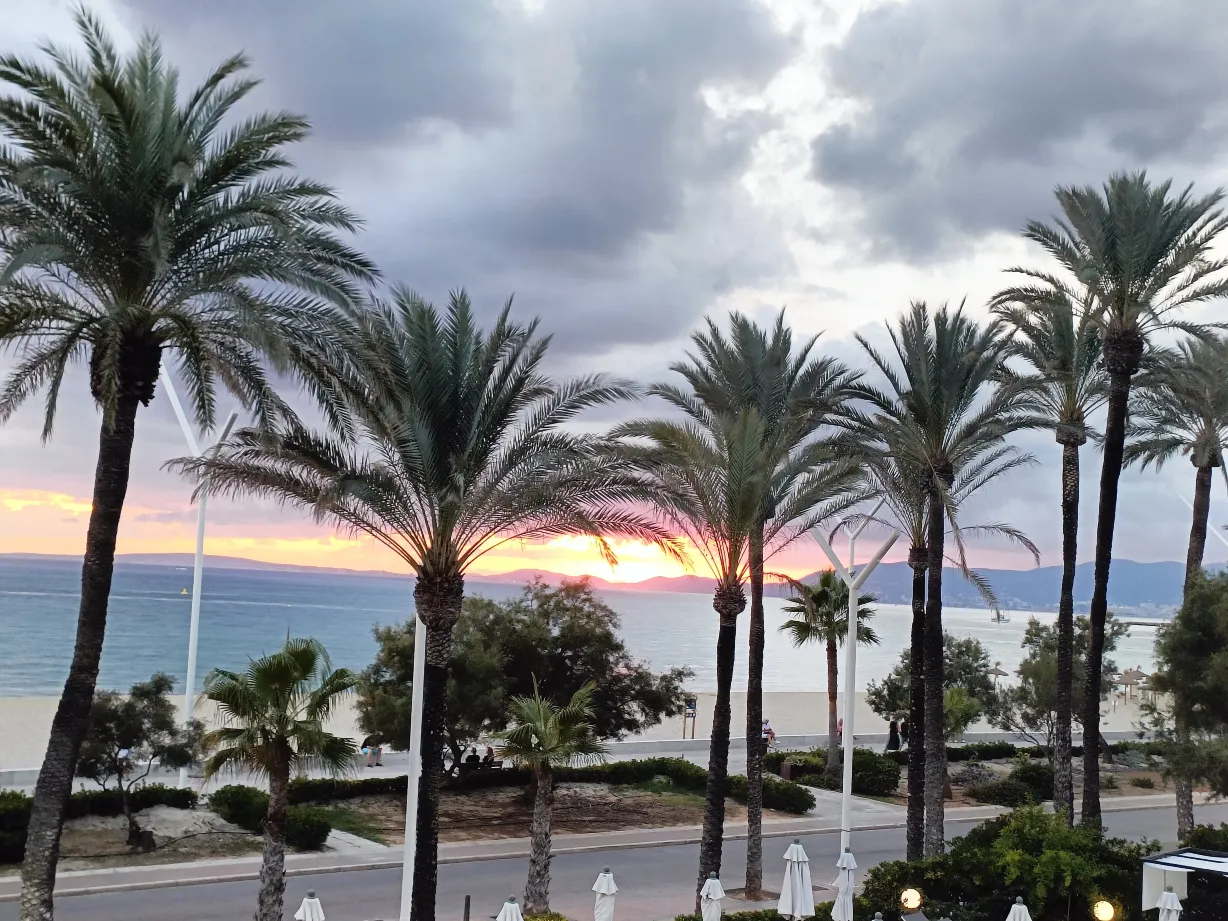 A Perfect Stay at HM Tropical in Palma de Mallorca