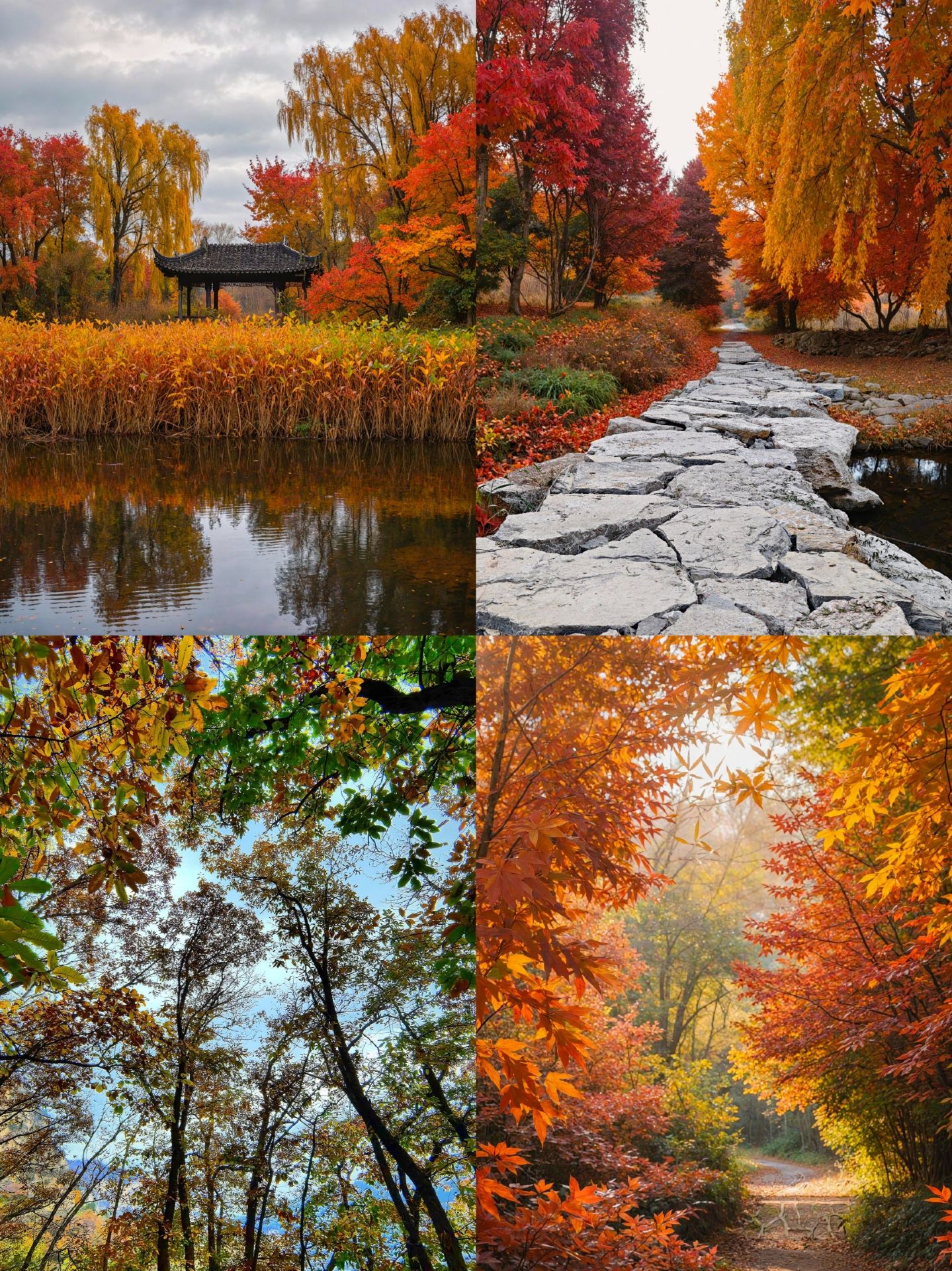 Hebei short trips! 4 underrated small cities that are absolute gems