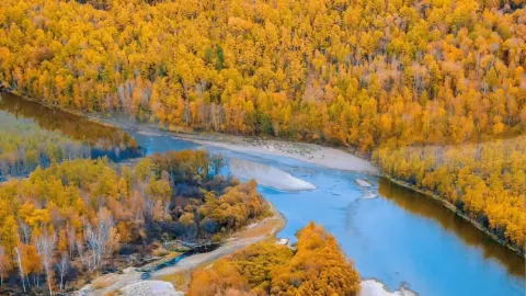 Bailu Island Autumn Guide | Head to the Greater Khingan Mountains for a fairytale autumn by the Jiliu River — traveler post in Genhe
