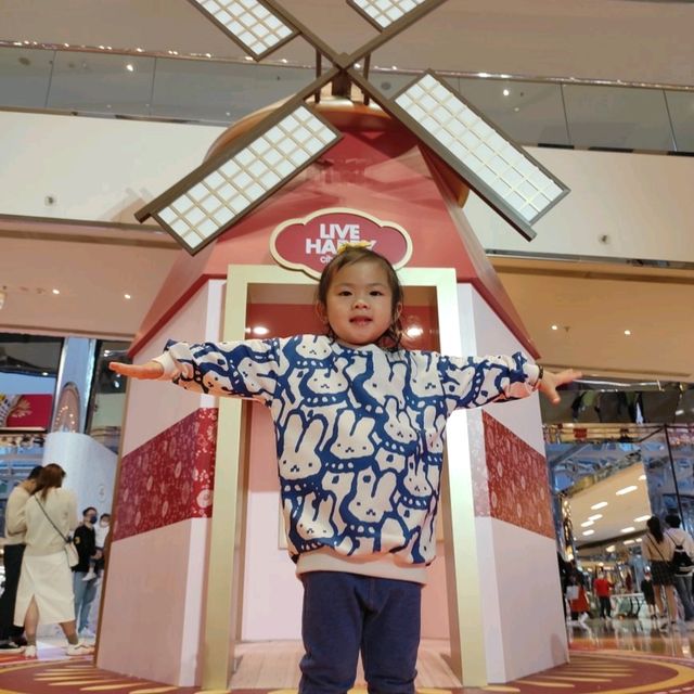 miffy 迷必去打咭