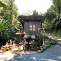 เที่ยวร้านกาแฟแม่กำปอง