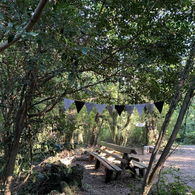 제주 숲해설 들으면서 힐링할 수 있는 환상숲곶자왈공원🌱 [제주_환상숲곶자왈공원]