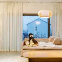 🍊감귤나무뷰 자쿠지 감성숙소 [제주, 고즈넉]🏡