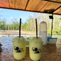 หนำวังยาวฟาร์ม​ ไร่กาแฟ​ &camping