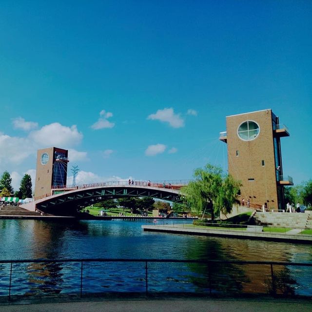 Amazing Toyama