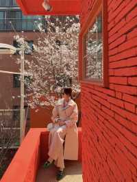 🌸벚꽃 액자뷰 사진을 찍을 수 있는  도산공원 카페 “바이칼리아”  