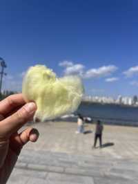 다양한 봄꽃 구경 가능한 여의도 한강공원 봄꽃 피크닉🌺