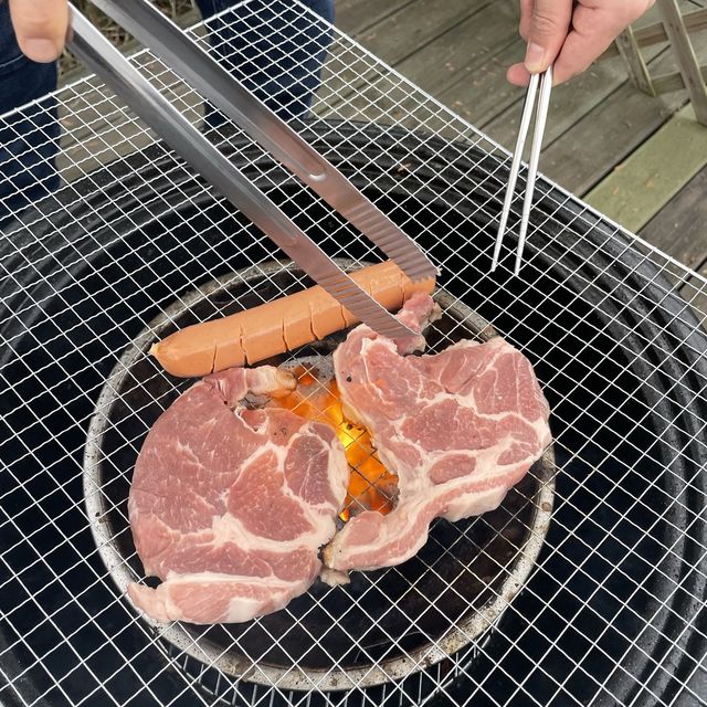 서울에서 가까운 서해로 반려견과 함께 떠나보세요♥️