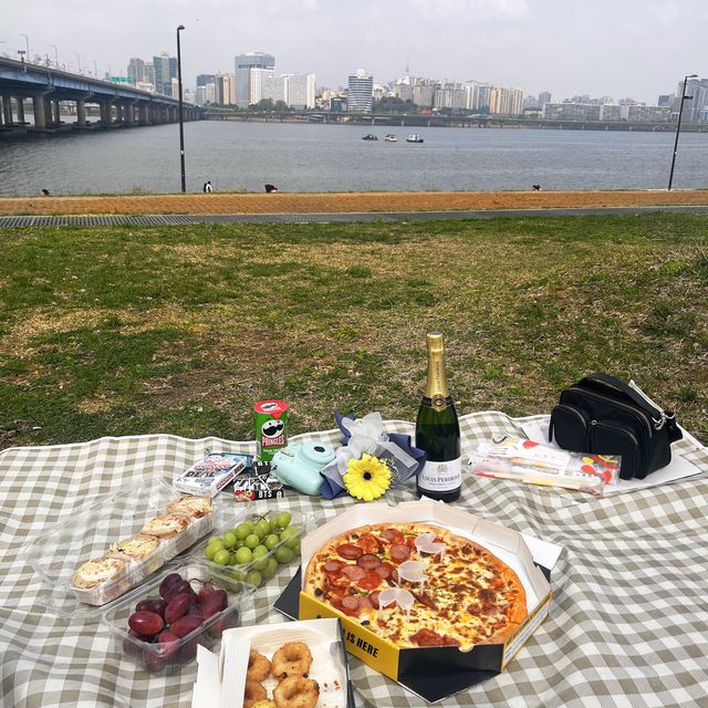 Picnic at Han River 