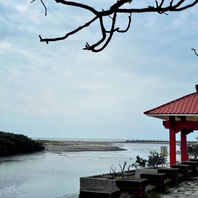 新豐紅樹林公園 🖌 近距離欣賞到神奇的水筆仔