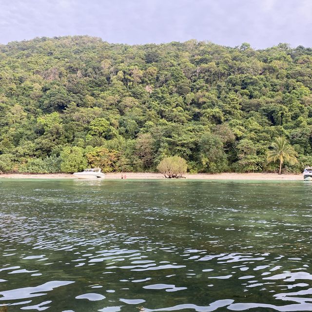 丹島浮潛之旅🤿