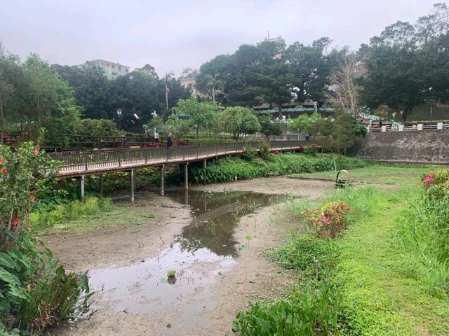 一望無際的“”龍環葡韻濕地” 澳門免費景點 