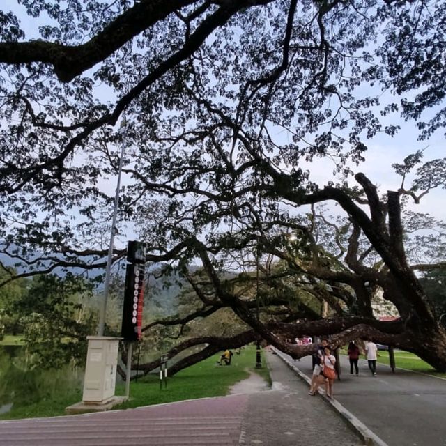 A Perfect Recreation Park in Taiping 