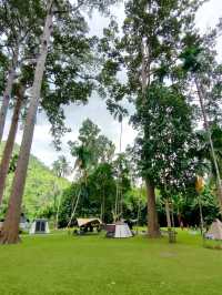 ยางนาแคมป์ Yangna Camp อุทัยธานี