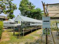คาเฟ่ริมน้ำ+การเรียนรู้เชิงวนเกษตร อัมพวา