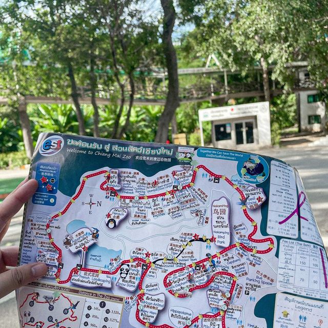 สวนสัตว์เชียงใหม่ - เดินเที่ยวชมสัตว์น้อยใหญ่
