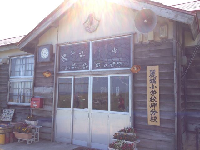 北海道　北海道観光　礼文島で絶対外せない観光スポット　北のカナリアパークに行ってきた！　