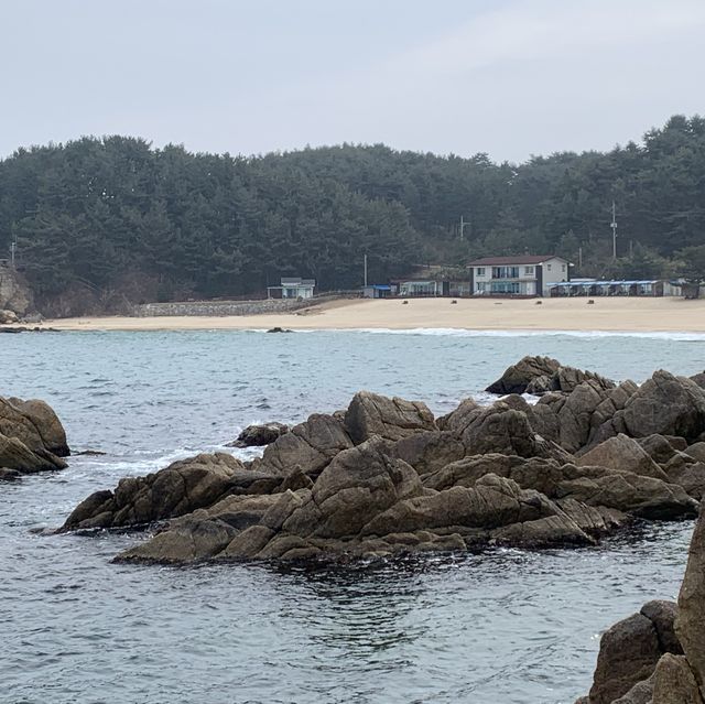 맑고 깨끗한 동해 바다를 한눈에 볼 수 있는 양양 하도대 전망대 🐠