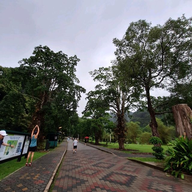 🌲 Lush Greens @ Penang Botanical Gardens