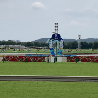  🔥 探索賽馬世界！東京競馬場 🔥