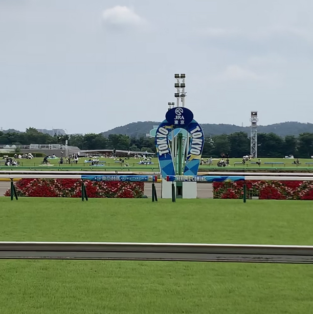  🔥 探索賽馬世界！東京競馬場 🔥