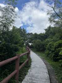 Summer Hiking to the beach (Big Wave Bay)