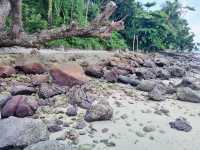หาดไตรตรัง ทะเลสวย สงบแบบส่วนตัว