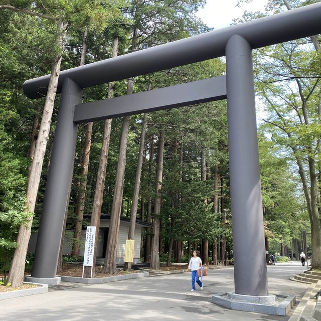 北海道神宮：北海道總鎮守，北海道必去打卡點